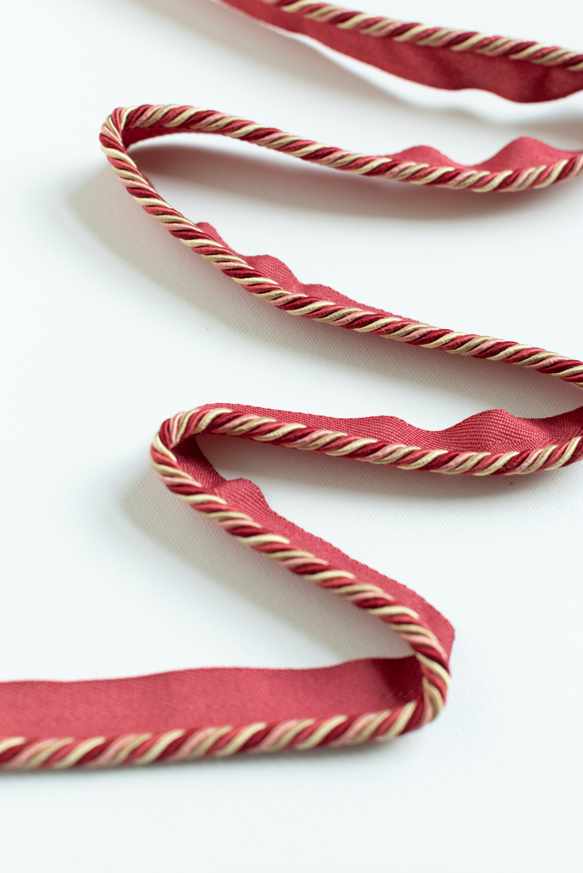 THE CAM